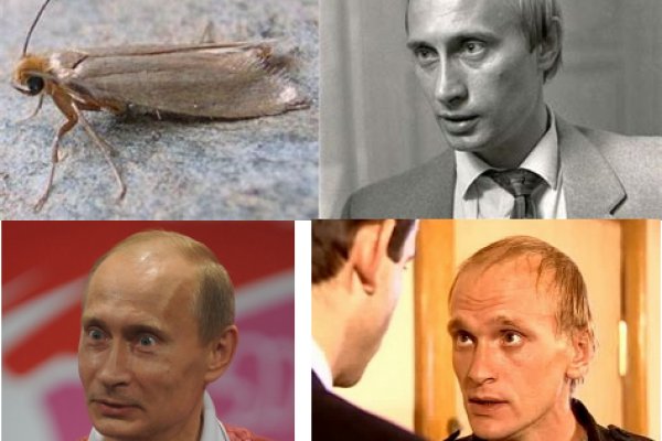 Замена hydra