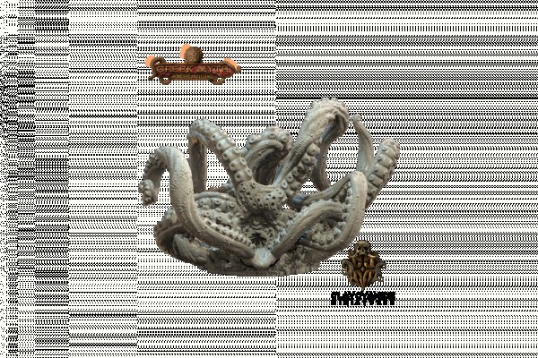 Kraken kraken dark link
