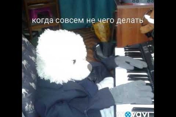 Где найти рабочую ссылку кракен