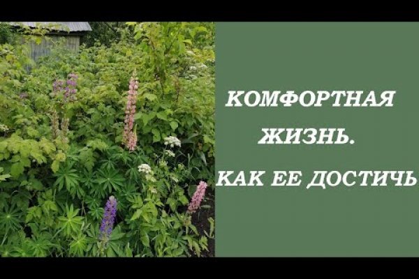 Где купить наркоты