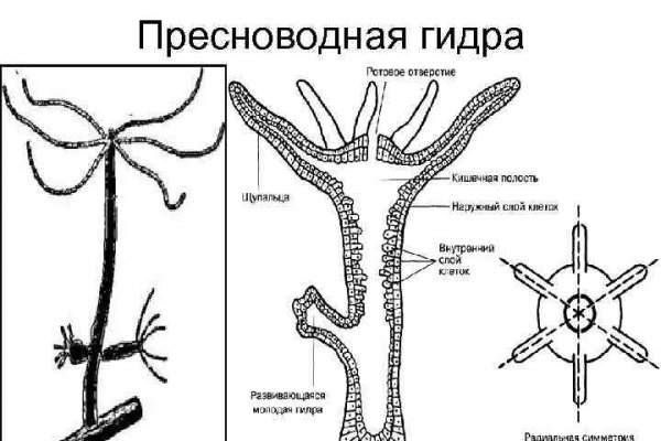 Кракен это что за магазин